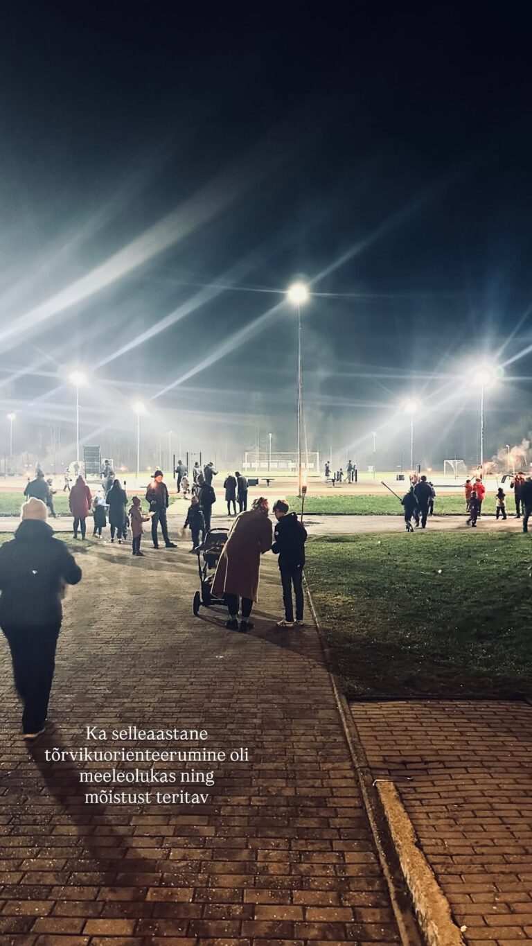 BERRYMUR TOETAB: Isadepäeva tõrviku-orienteerumine Sõmerul, MINU loodud kaardil